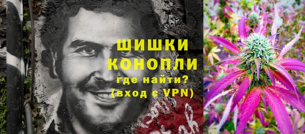 PSILOCYBIN Бородино
