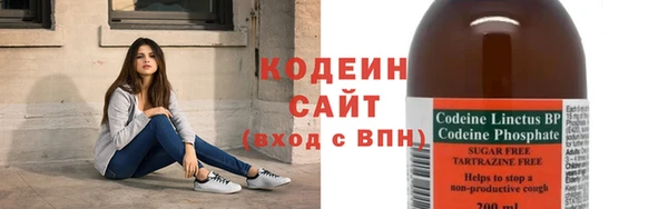 гашик Богданович