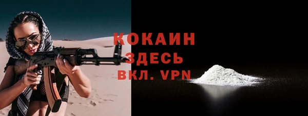 PSILOCYBIN Бородино