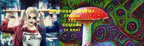PSILOCYBIN Бородино
