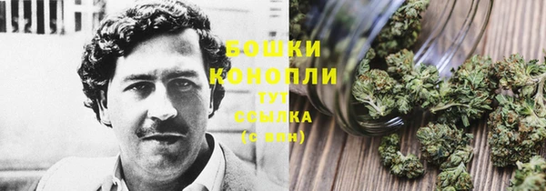гашик Богданович