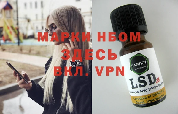 PSILOCYBIN Бородино