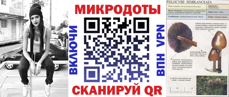 Псилоцибиновые грибы GOLDEN TEACHER  Купить  Вольск 