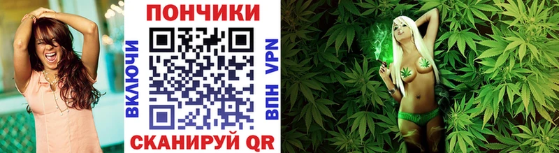 Бошки Шишки OG Kush  Купить где  Вольск 